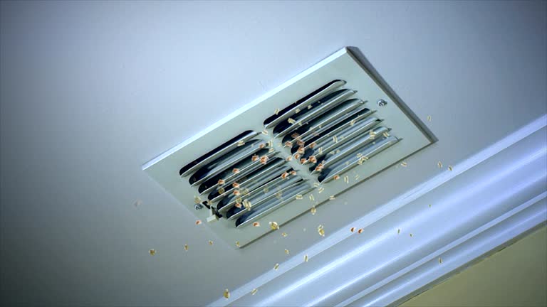 Best HVAC Air Duct Cleaning  in La Porte, IN